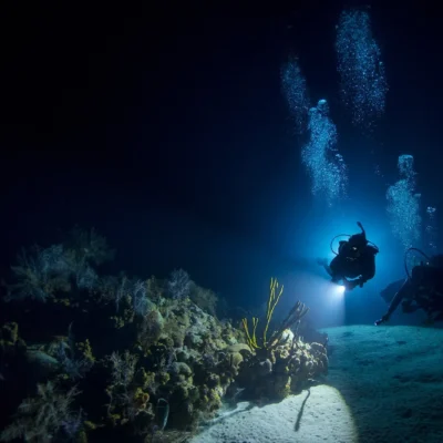 Buceo Nocturno